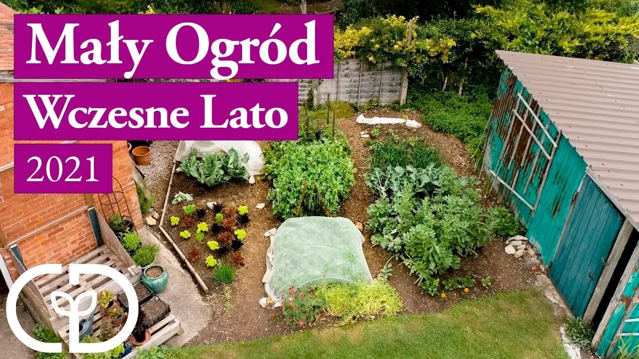 Mały ogród z Charlesem Dowdingiem – niesamowity przyrost na początku lata