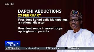 Timeline of events since militant attack on Dapchi school