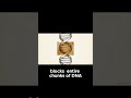 Multifactorial disorders genetics epigenetics SNPs linkage disequilibrium explained