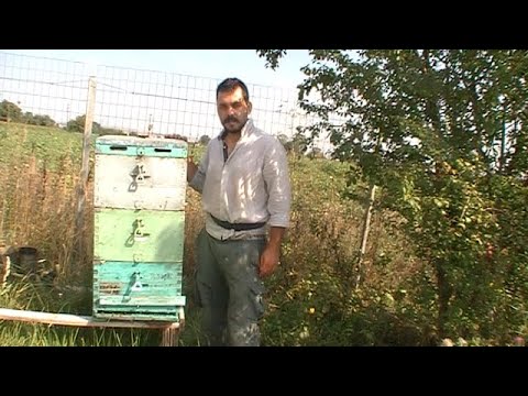 Τρύγος 3όροφου.Και τα