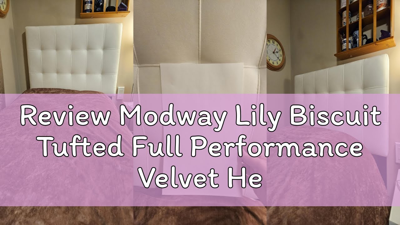 Review Modway Lily Biscuit Tufted Full Performance Velvet Headboard, White