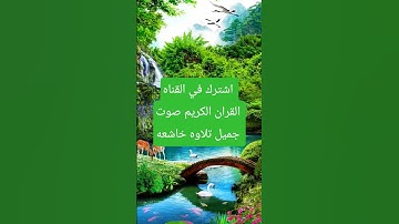 القران الكريم #اكسبلور #المصحف #القران #viral #viralvideo #video
