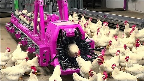 Amazing Machines Operating At An INSANE LEVEL Ep ▶ 1