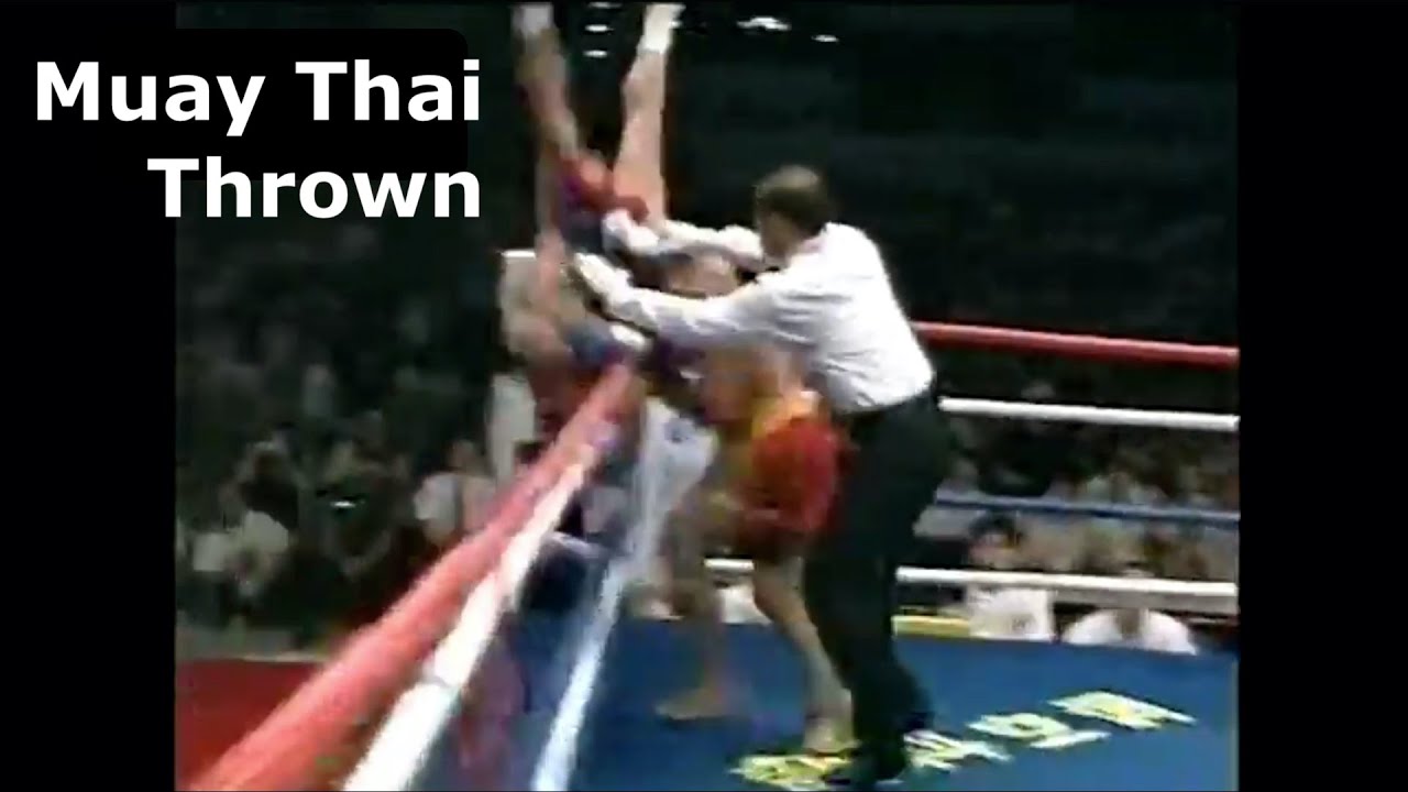 When Muay Thai Guy Gets Thrown On His Face ft. Sanda Legend Liu Hailong
