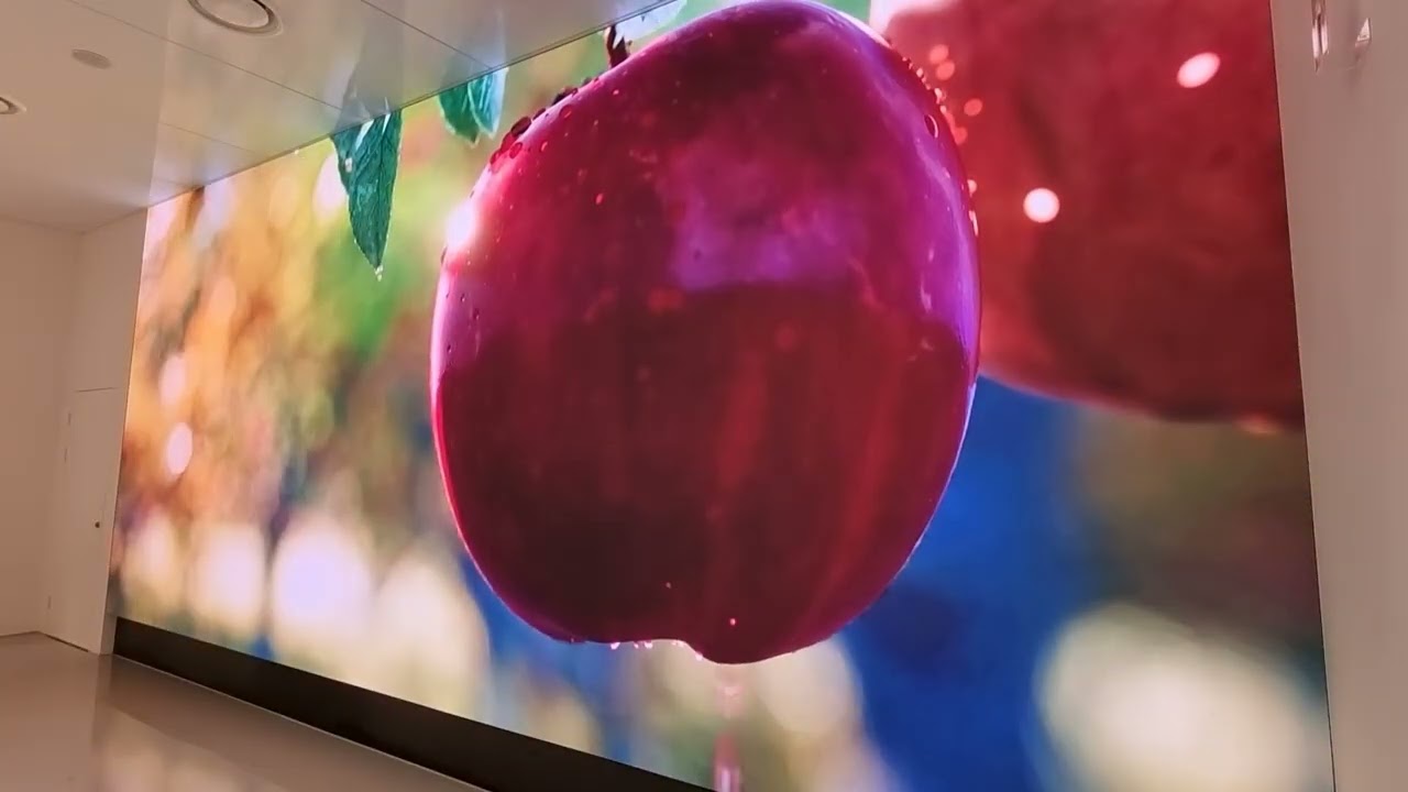 백석역사관  실감영상  "과수원 가는길"  (2023)