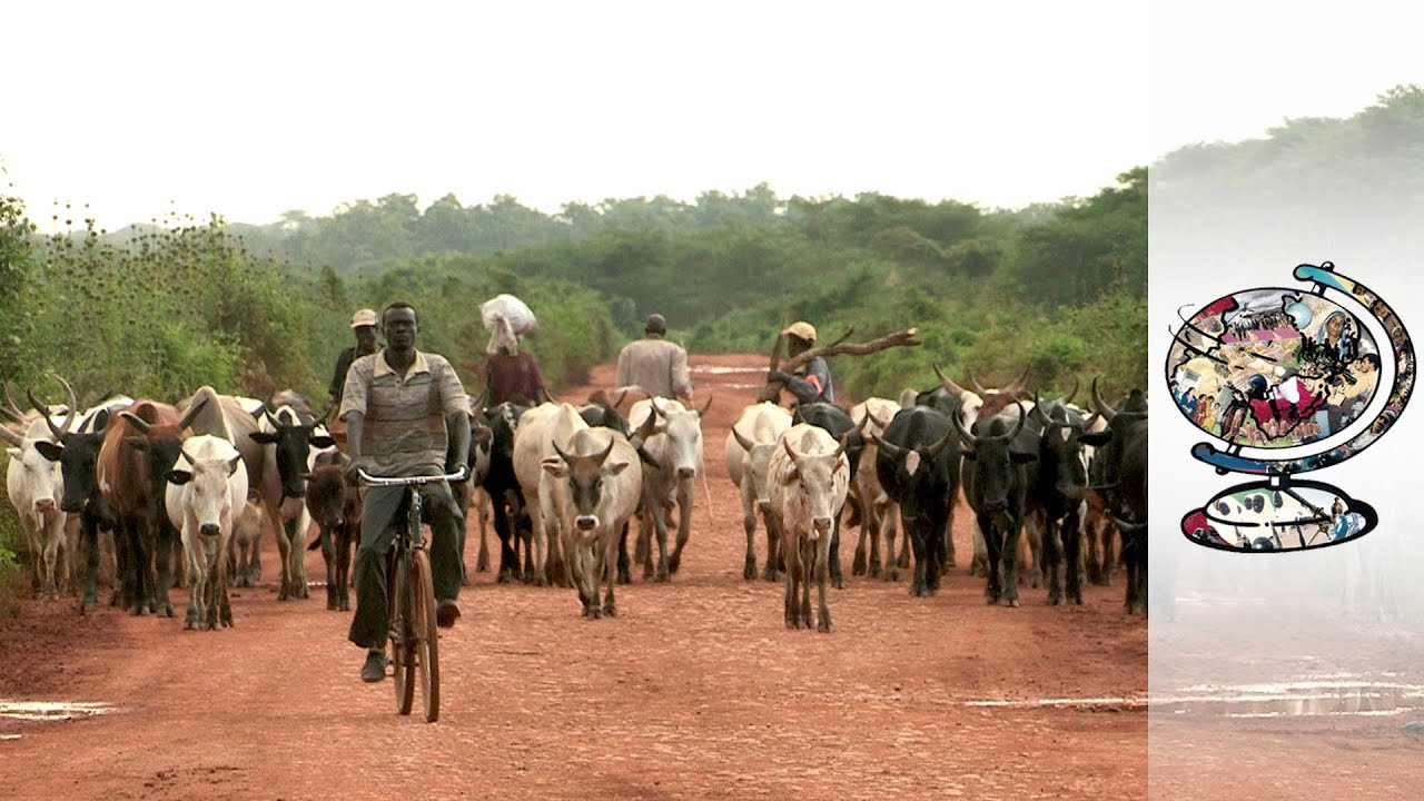 The Tragic Cost of Progress in Ethiopia (2013)