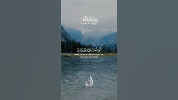 ووصينا الانسان بوالديه إحسانا | فضل الوالدين علي الابناء | بر الوالدين | سورة الاحقاف | بلال الشاكر