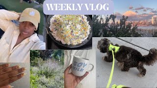 VLOG : 🍂 Fall Thrifting , Sunday Farmer's Market run , New Vanity and Sunset Walks with Lex 🐶