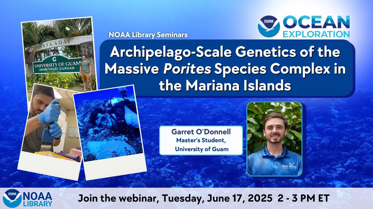 Archipelago-Scale Genetics of the Massive Porites Species Complex in the Mariana Islands