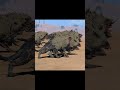 TotalWar Warhammer 3 | 3,000 Miners Vs 2,400 Warhounds