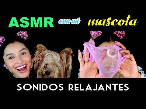 ASMR con MI PERRO + SONIDOS RELAJANTES I ASMR en ESPAÑOL I Ges ASMR