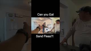 Can you eat a Sand Flea? We tried!