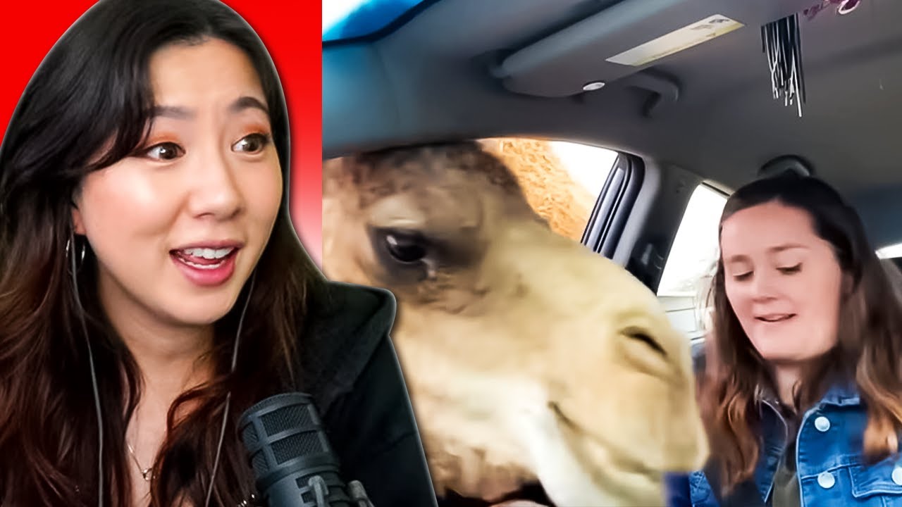 REACTING TO THE BEST INTERNET VIDEOS OF 2024!