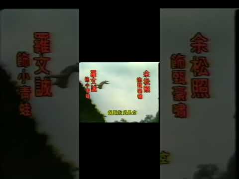港台绝版武侠剧《天龙剑侠》主题曲 主演：徐少强、魏秋樺、朱宝意、江明