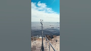 I Put Insta360 X5 Dive Case to Test