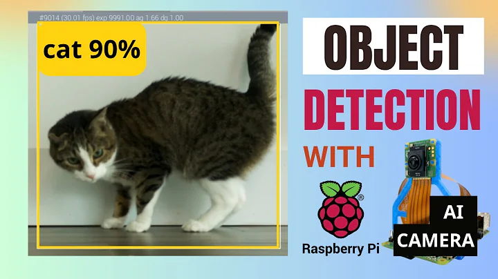 Object Detection Raspberry Pi AI Camera