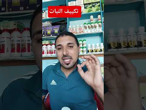 السليكات مش مرك ب دى رخصة نجاة من السخونة الملوحة والخراب