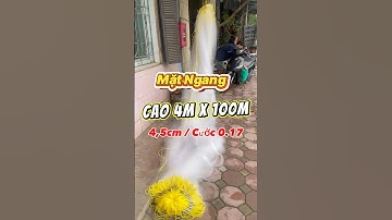 Lưới Mặt Ngang Cao 4m x 100m 4,5cm , Cước 0.17 / Chì Nặng Thả Chìm #luoidanhcaadau