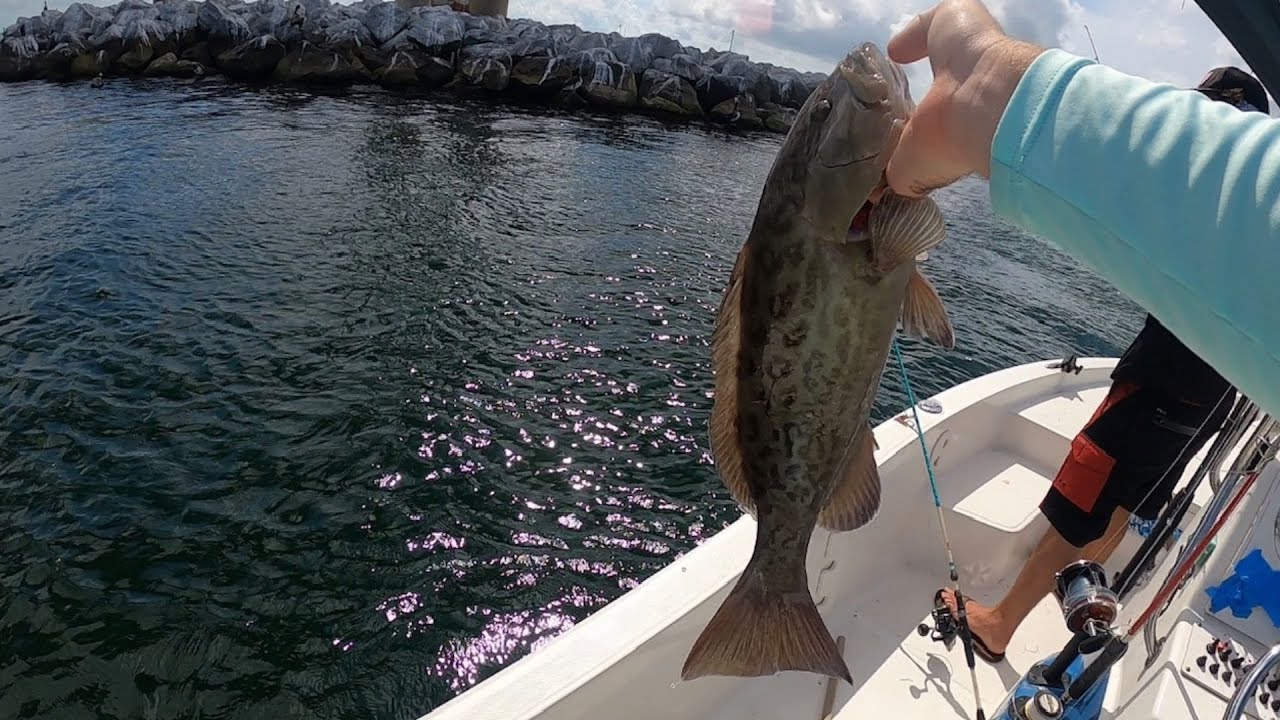 Fishing in Tampa Bay at Skyway Bridge For Mangrove Snapper and Tarpon