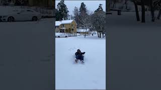 Snow Stunt Challenge in Freezing Cold ❄️💪 #sweden #stockholmvlog #snow #stunt