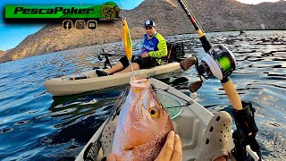 pescando en Puerto Escondido LORETO BCS !! Buenas capturas !!