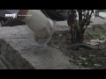 Hong Kong Group Uses DNA To Reveal, Shame Litterbugs