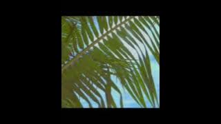 BTS Kim Taehyung - It's you {FMV} *read description*