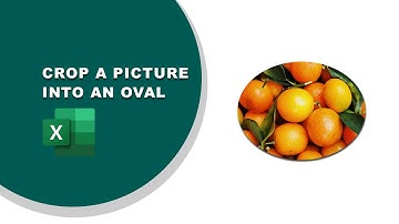 How to crop a picture into an oval in excel