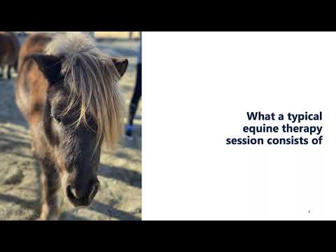 Equine Therapy for Treating Addiction