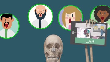 3D Anatomy Courseware | Visible Body