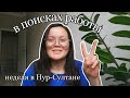 в поисках работы в Нур-Султане (Астане) 🌱