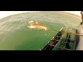 GoPro HERO3: White Shark in Capetown South Africa