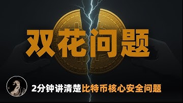 双花问题 | 2分钟了解比特币核心安全问题 | 双重支付 | Aaron J 区块链