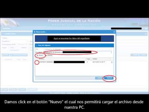 Tutorial - cómo cargar una contestación de demanda en el sistema de gestión de causas del PJN