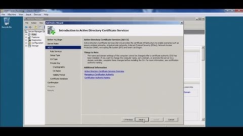 Server 2008 - Creating certificates in Windows Server 2008 using AD certificate services