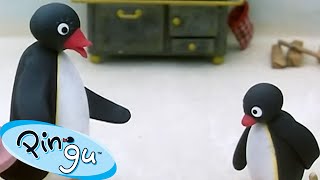 Pingu Gets Into Trouble  | Pingu  Official Channel | Cartoons For Kids