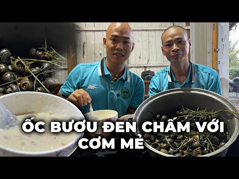 Video LẦN ĐẦU THÉP ĐƯỢC ĂN ỐC BƯƠU ĐEN CHẤM VỚI CƠM MẺ NGON... - youtube