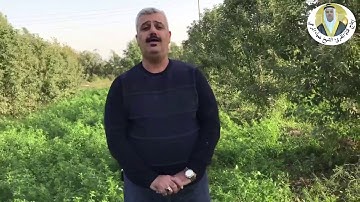 مقطع قصير للمقرئ ضياء المرعي يتلوا فيه ما تيسر من سورة الإنفطار