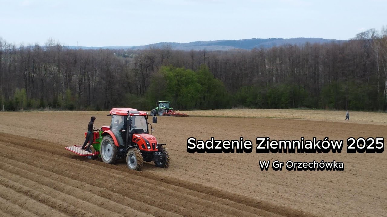 Sadzenie ziemniaków 2025 !  I test nowego kultywatora.