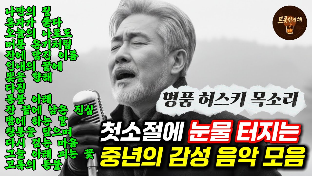 눈물 터지는 중년 감성 트로트｜첫눈처럼 스며드는 허스키 보이스 모음 신곡 연속듣기 잠 잘때 듣기 좋은 음악