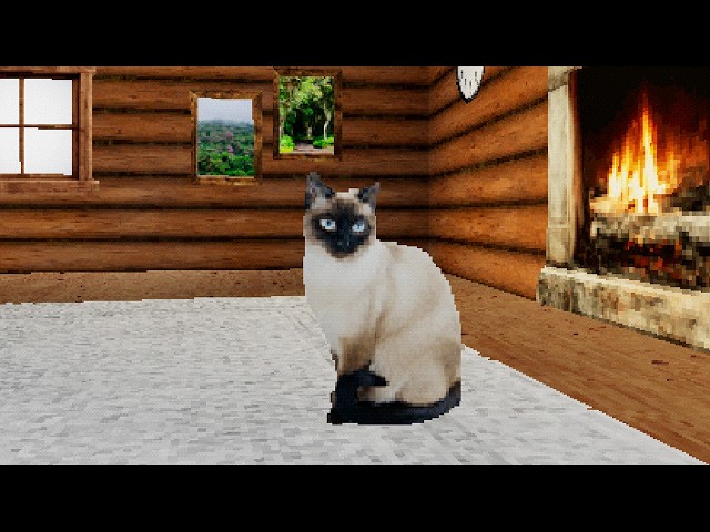 AKU HARUS JAGA KUCING IMUT INI NAMUN HAL MENGERIKAN TERJADI.... TAKE CARE OF THE CAT
