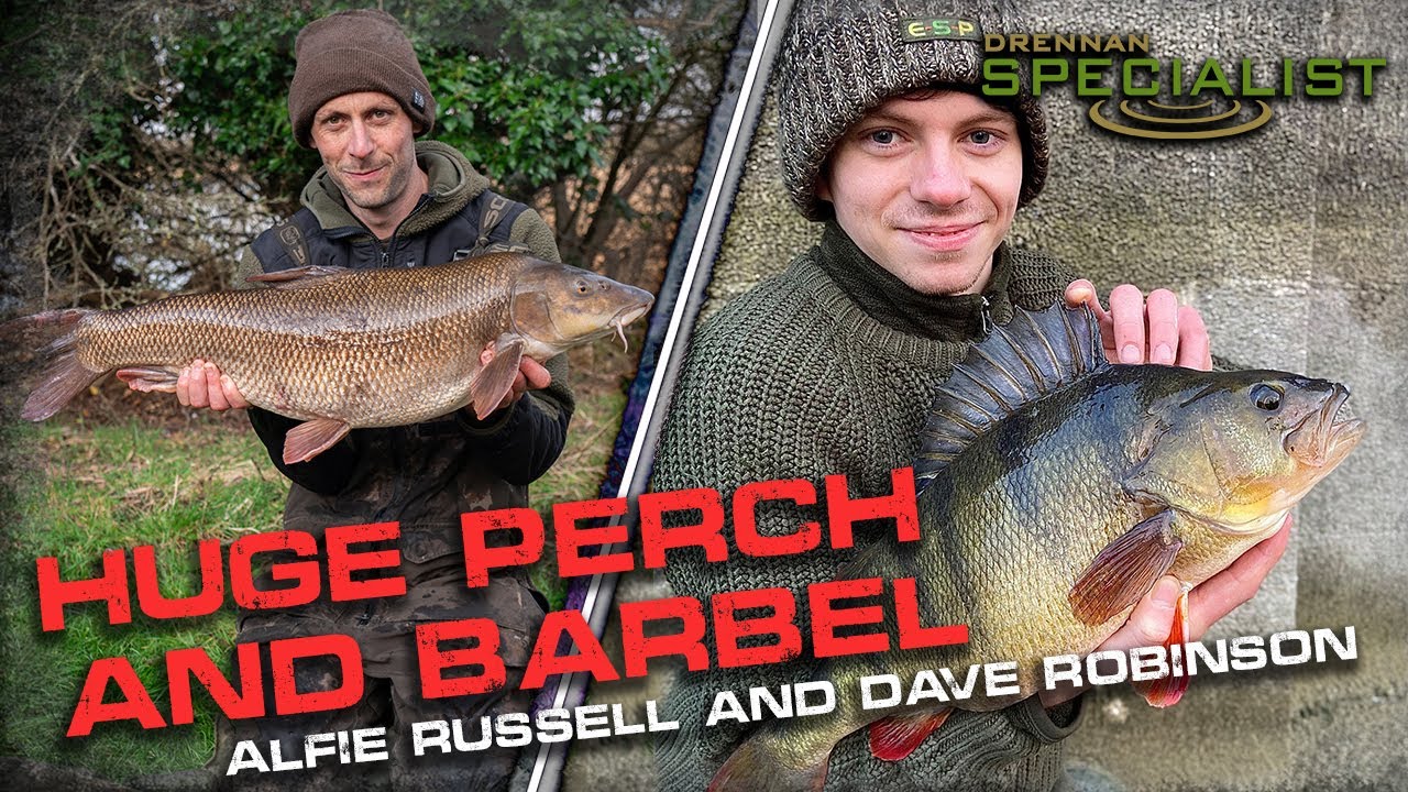 HUGE Perch and Barbel | Alfie Russell & Dave Robinson | Drennan Specialist