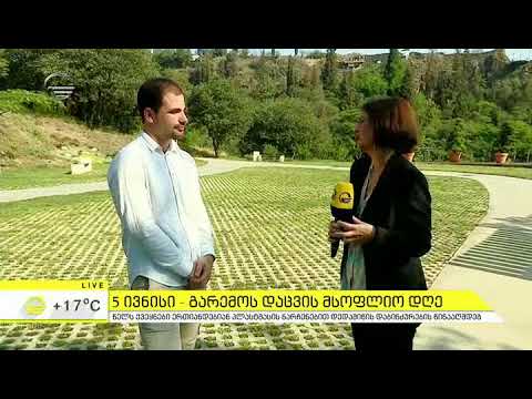 5 ივნისს გარემოს დაცვის მსოფლიო დღე აღინიშნება - პირდაპირი ჩართვა იმედის დილაში