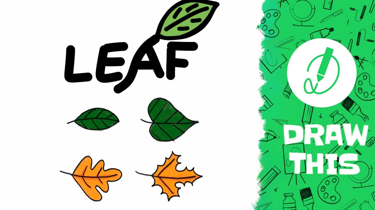 how to draw LEAF step by step | very easy | with dimension