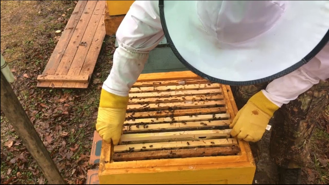 ВАРИАНТЫ РАСШИРЕНИЯ СОЧИ НАЧАЛО