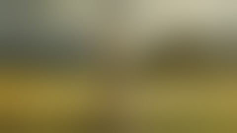 AMV All The Fucking Time - XOX MEP