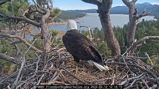 2-12-2026 Circle Of Life