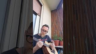 Pink Floyd Run Like Hell Acustic Guitar Taylor GS mini