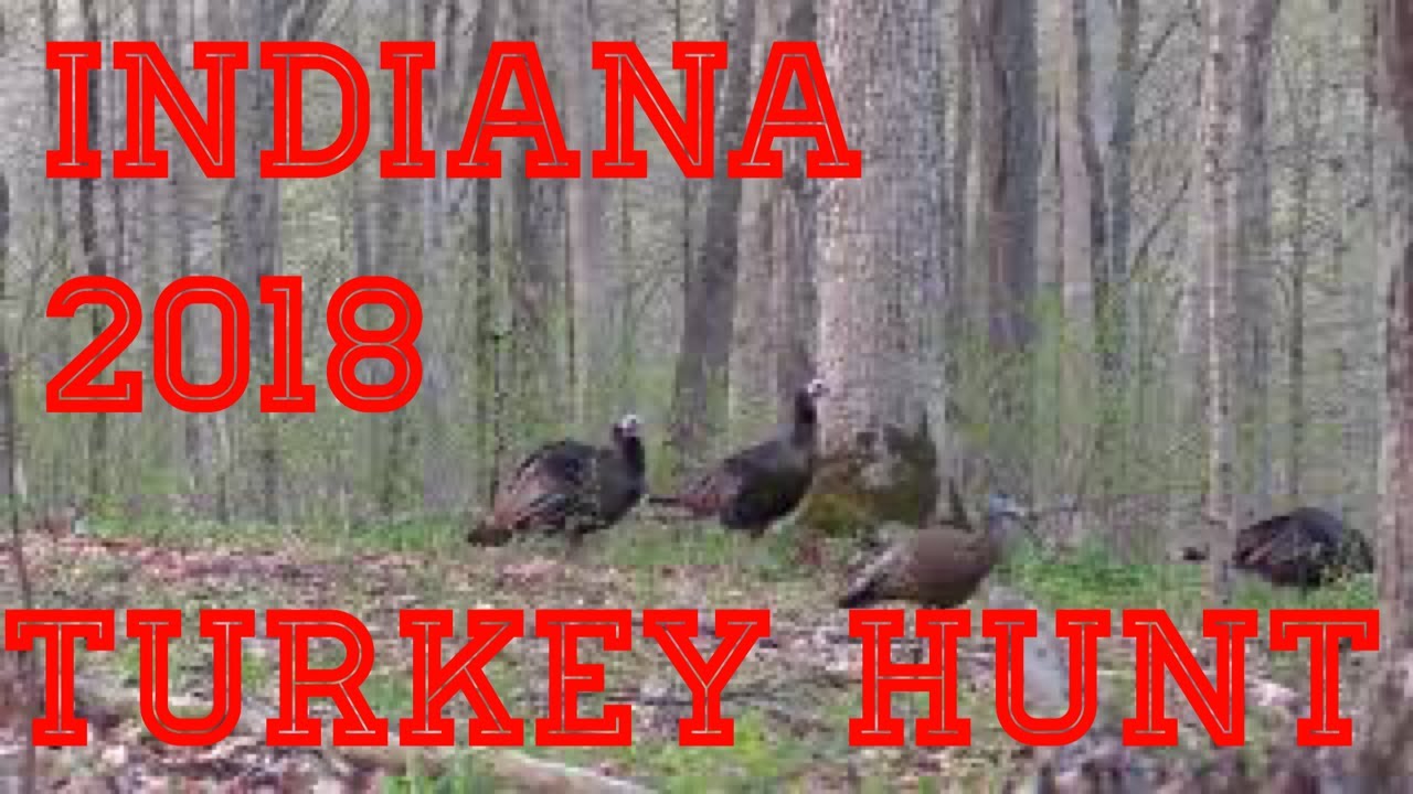 Indiana 2018 Spring Turkey Season
