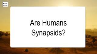 Are Humans Synapsids